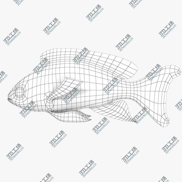 images/goods_img/20210312/Aquarium Fish Collection/3.jpg